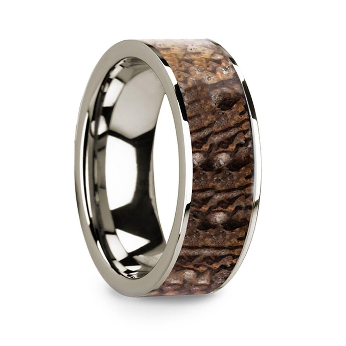 Polished 14k White Gold W/ Brown Dinosaur Bone Inlay - 8mm